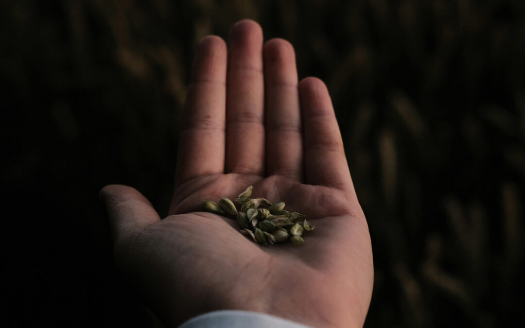 Bring Your Little To God & Watch What He Will Do