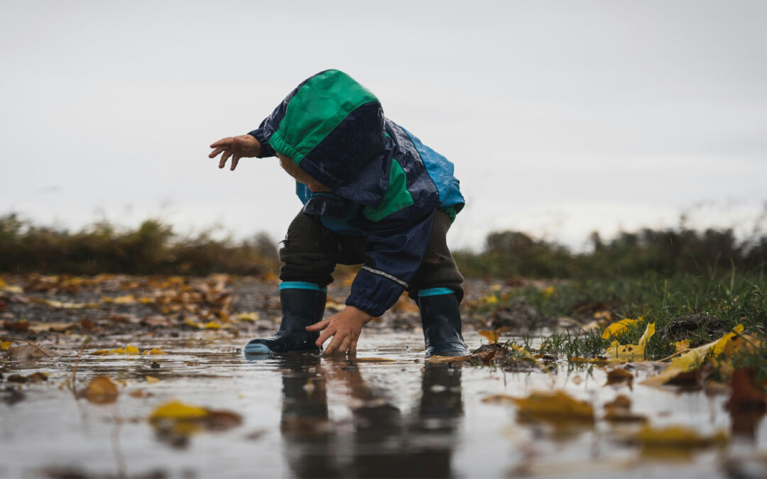 When You Fall Down, Get Back Up